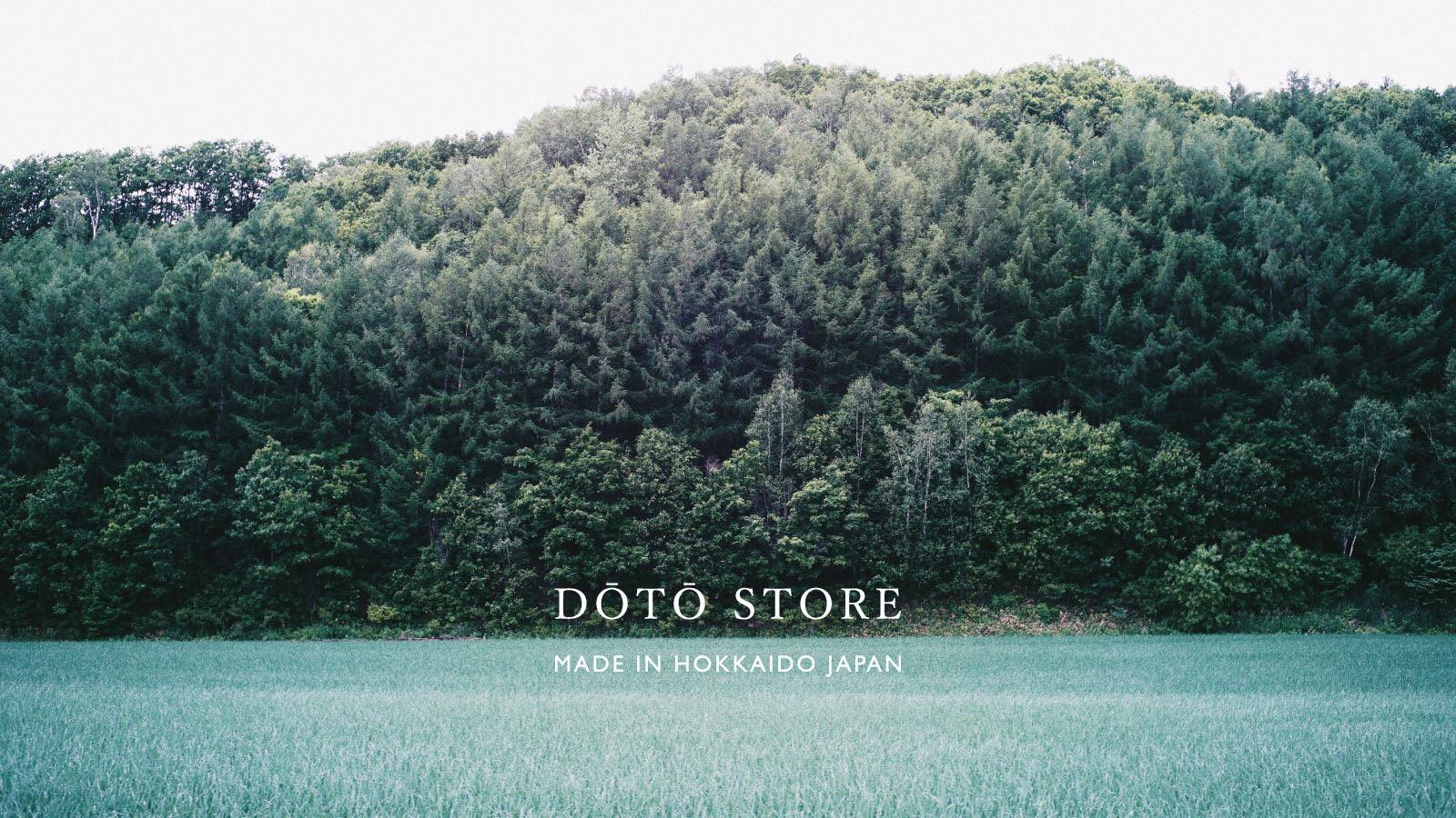 DŌTŌ STORE branding over Hokkaido forest landscape 品牌標誌搭配北海道森林風景